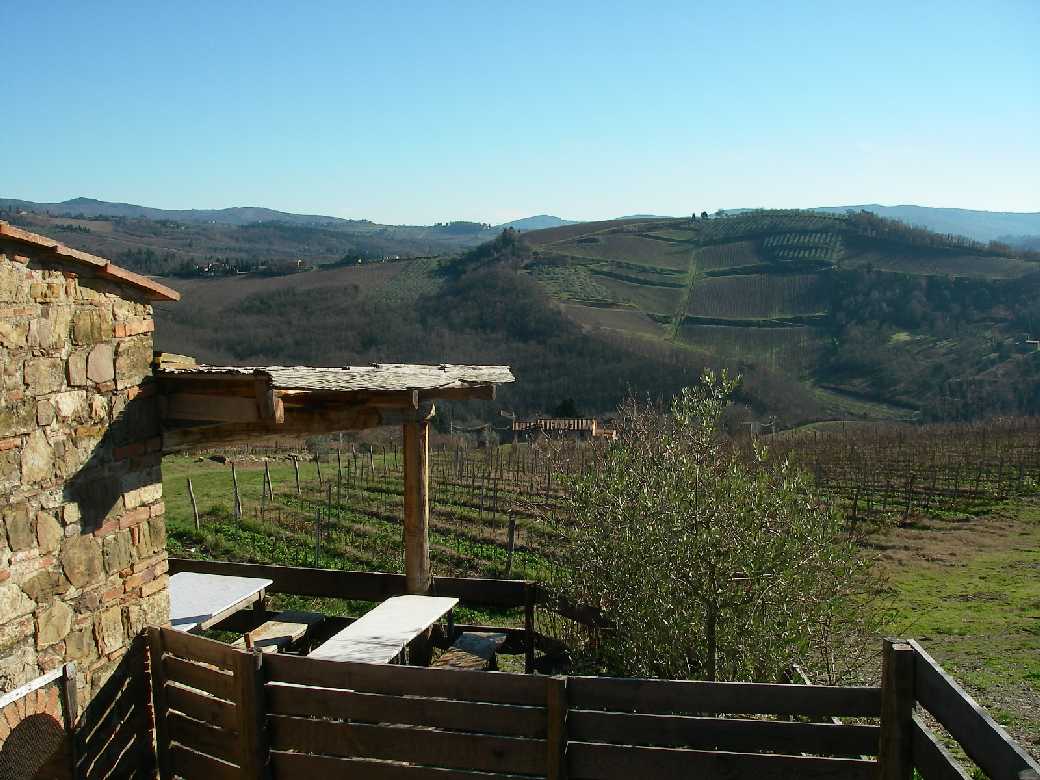 vigneto toscano x Travelers' Choice Wine Destinations